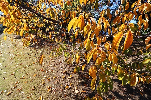 a0242438_21341170.jpg