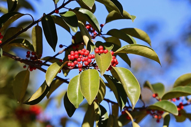 a0242438_21341195.jpg