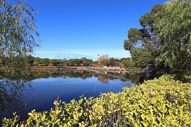 a0242438_21343886.jpg