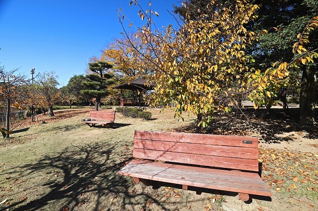 a0242438_21343914.jpg