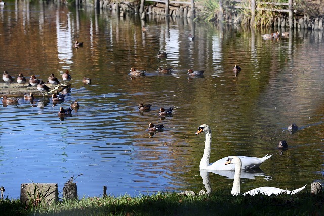 a0242438_21343984.jpg