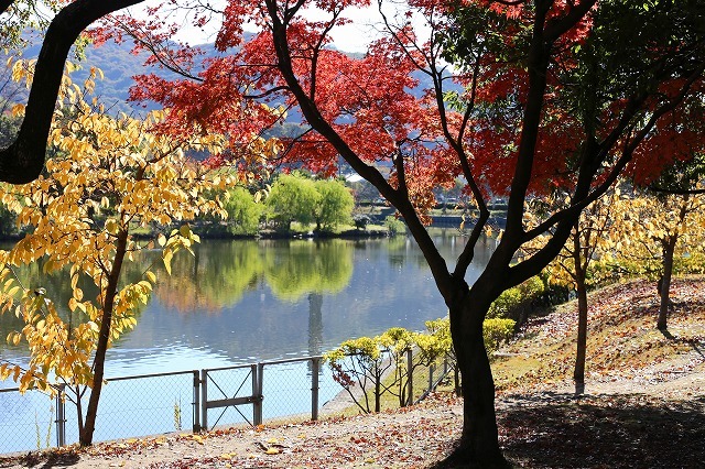 a0242438_21345573.jpg