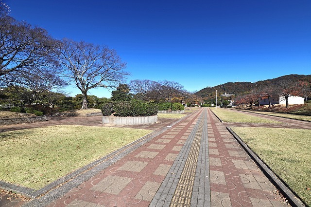 a0242438_21351981.jpg