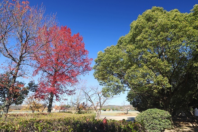 a0242438_21351999.jpg