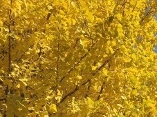 b0330040_21242989.jpeg