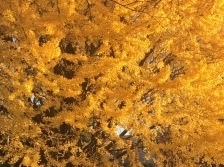 b0330040_21275801.jpeg