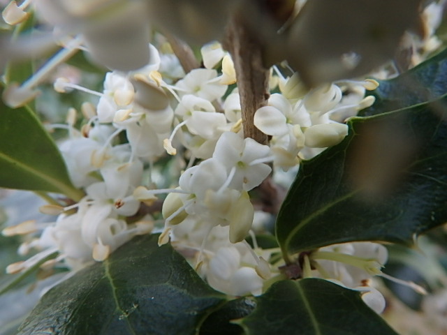 f0334143_23221236.jpg