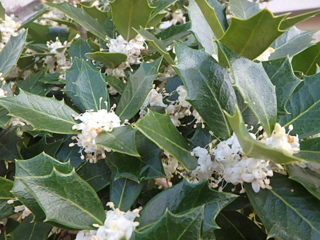 f0334143_2322447.jpg
