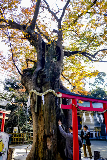 破魔矢発祥の神社「新田神社」_a0247450_08111093.jpg