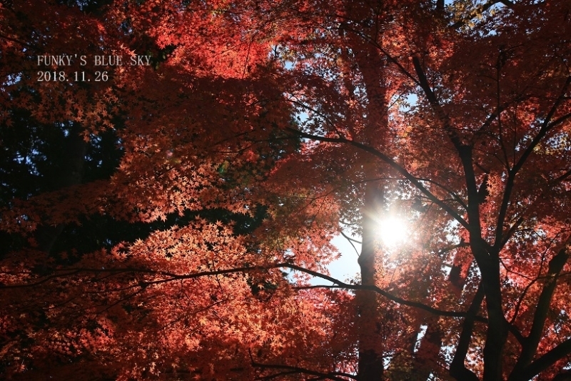 c0145250_12172763.jpg
