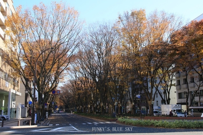 c0145250_12175092.jpg