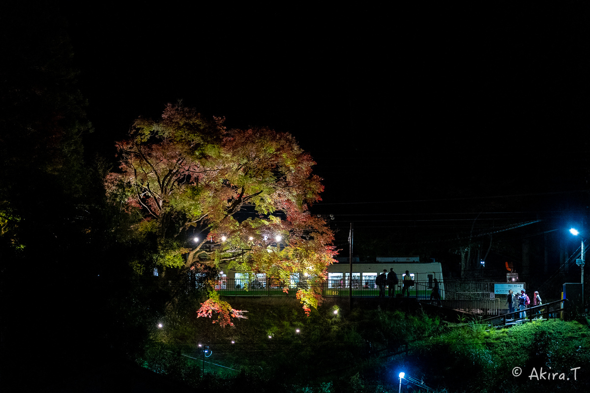 f0152550_22140680.jpg
