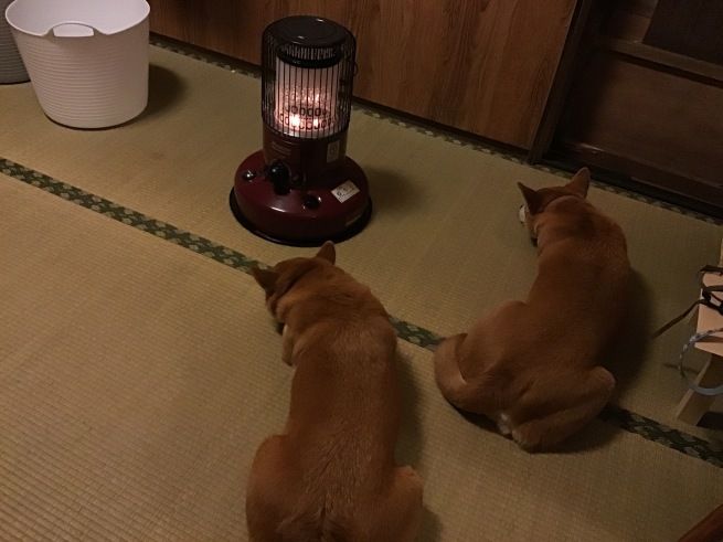 f0337851_00173320.jpeg