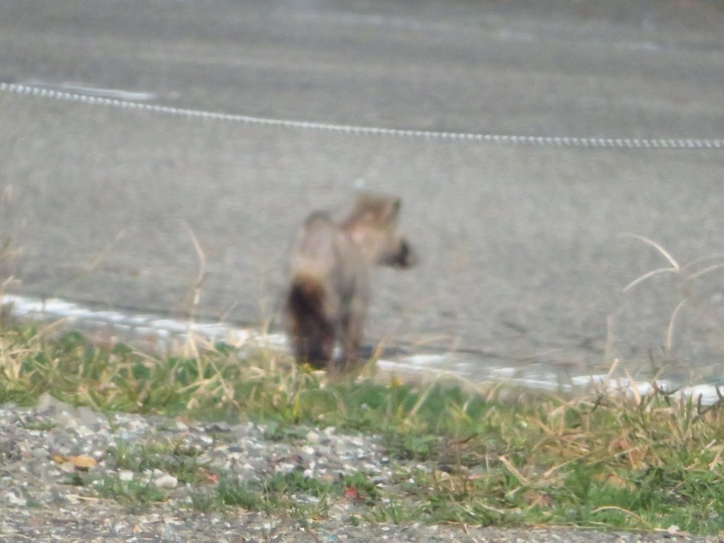 a0018655_09312960.jpg