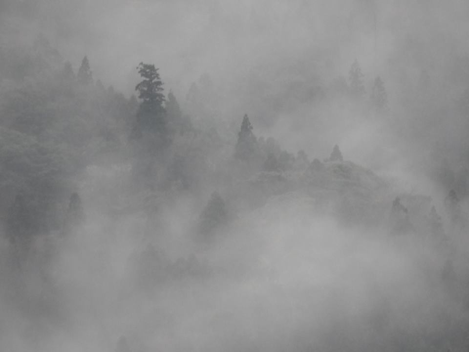 b0160957_09391152.jpg