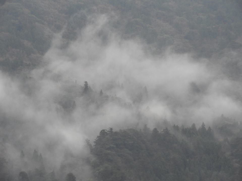 b0160957_09403351.jpg