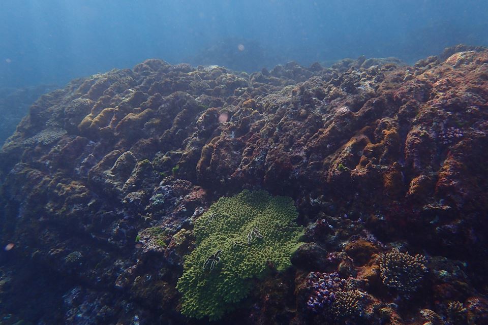 b0160957_09502530.jpg