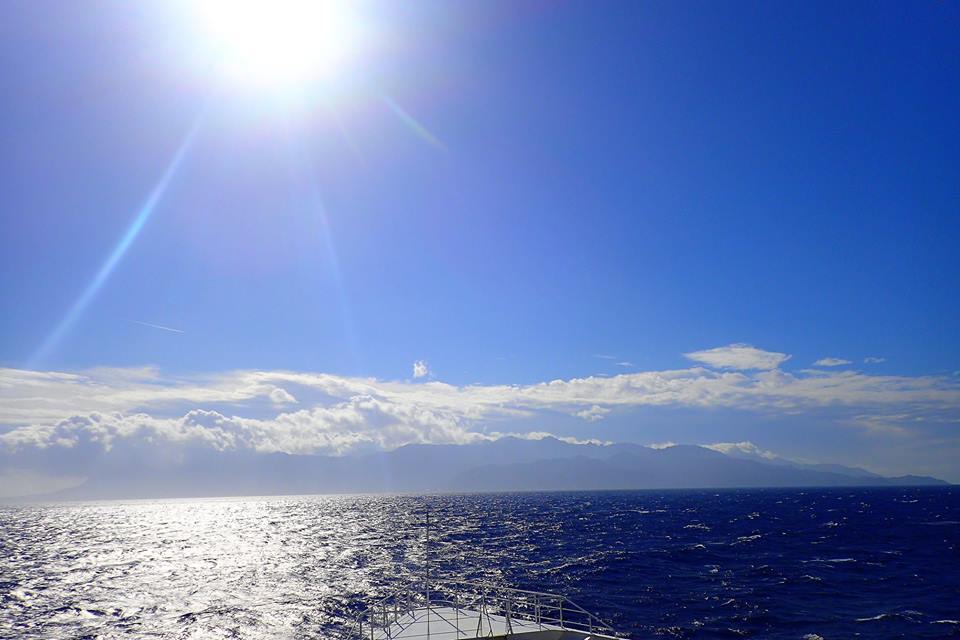 b0160957_16462857.jpg