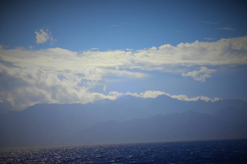 b0160957_16465403.jpg
