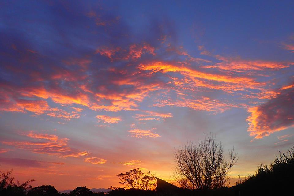 b0160957_16531045.jpg