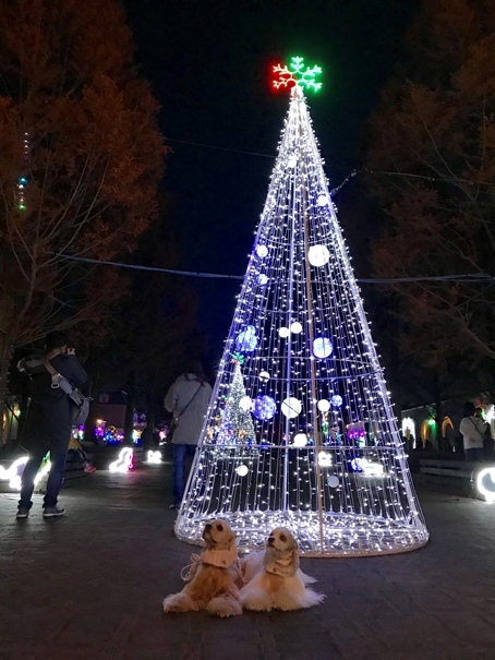 d0111558_19324442.jpg