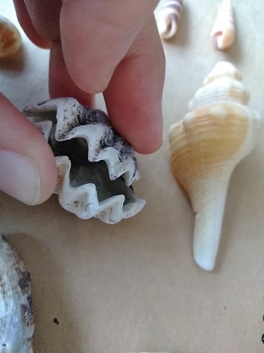 c0172261_11383669.jpg