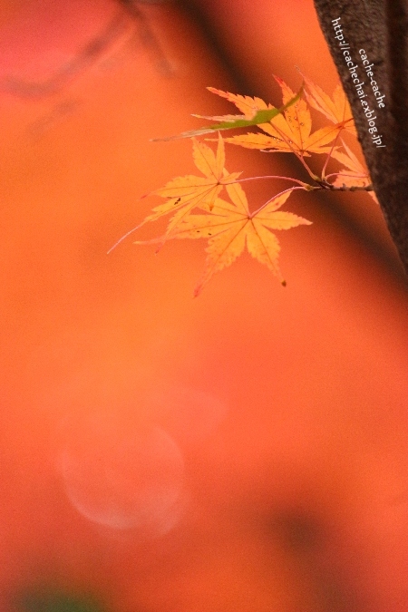 b0366862_23003300.jpg