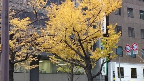 f0256164_14355987.jpg