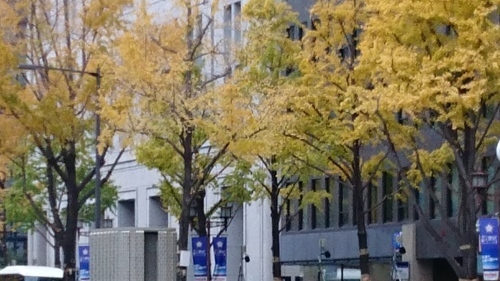 f0256164_14362070.jpg