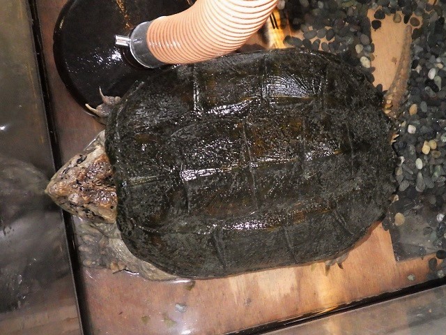 c0105569_00190236.jpg