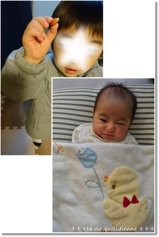 こんなんしか焼けませんの…オッパイに溺れる姫と小さな苺_a0348473_05044906.jpg