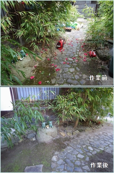 ヌスビトハギとの戦い_b0399773_06550223.jpg