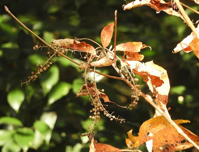 f0378979_18532208.jpg