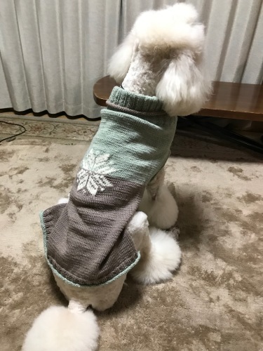 a0216583_17482038.jpeg