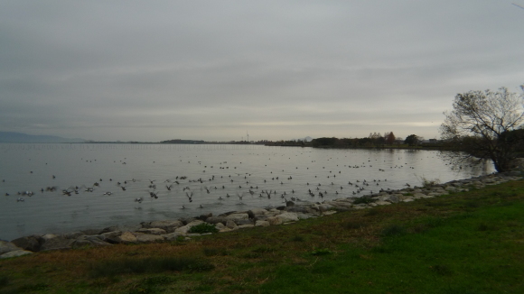 c0212083_18453150.jpg