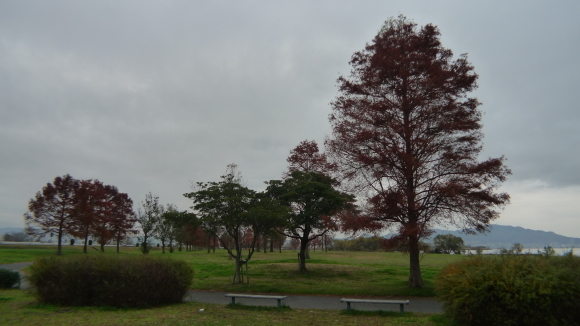 c0212083_18461446.jpg