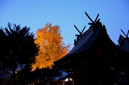 c0229483_1235665.jpg