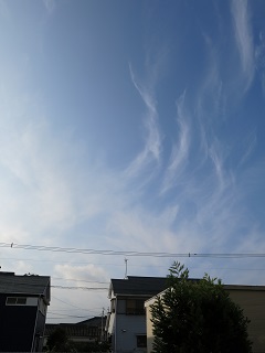 e0130185_9561480.jpg