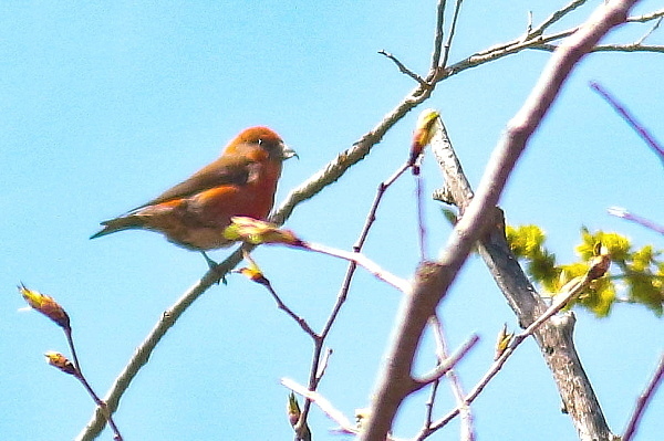 d0334291_14201969.jpg