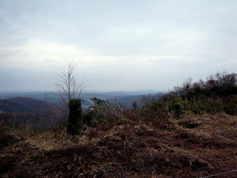 f0325295_15360959.jpg