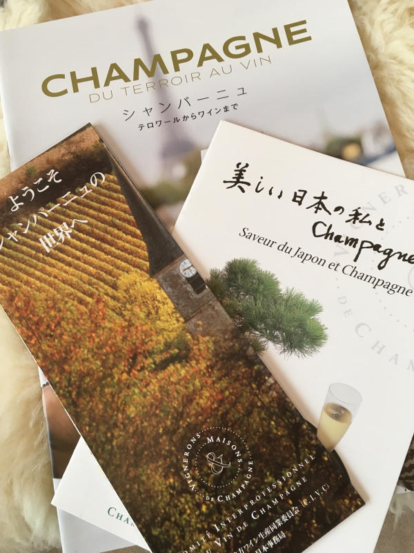クリスマス 🎄シャンパーニュのパーティー🍾_c0195496_11385362.jpg