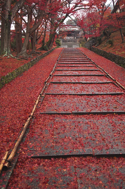 c0382798_10322254.jpg