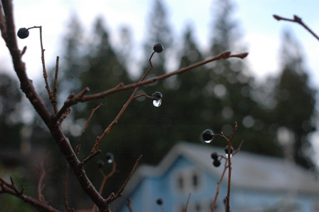 a0061599_07310387.jpg