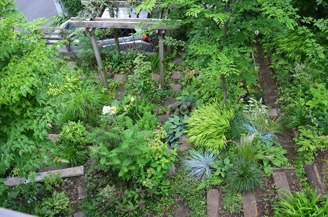 6月21-28日の庭。_c0124100_12584703.jpg