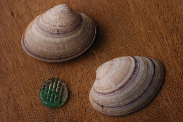 d0359503_11110029.jpg
