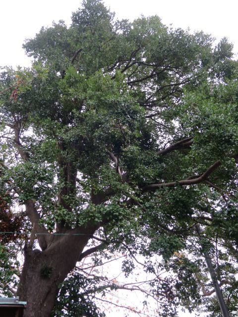 d0360104_23202031.jpg