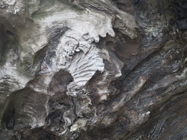 d0360104_23205628.jpg