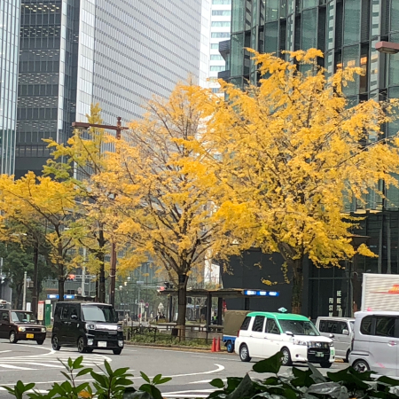 b0291805_11235766.jpg