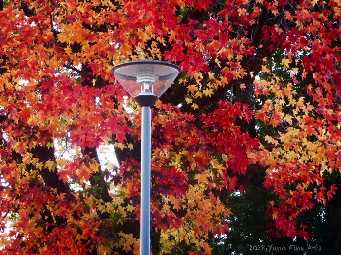b0147808_18021014.jpg