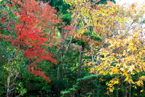 a0263109_10261071.jpg